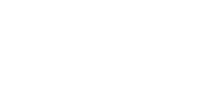 nutritius-footer-logo